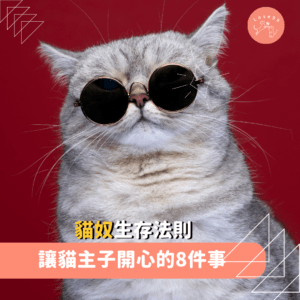 讓貓主子開心的8件事：你家主子最愛哪一個？😸💖
